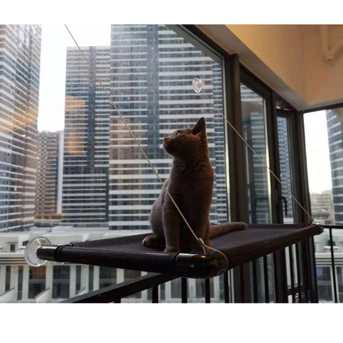 Cat Window Hammock — Suction Cup Perch for Indoor Cats