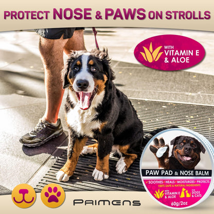 UAE Paw Guard — Hot Pavement Protection Balm