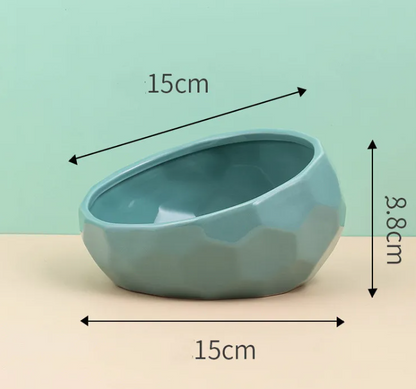 Ergonomic Tilted Ceramic Pet Bowl