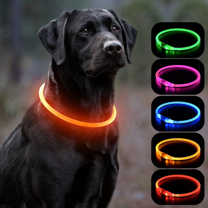 Night Walk Safety Collar — USB Rechargeable LED