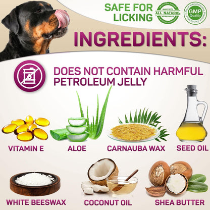 UAE Paw Guard — Hot Pavement Protection Balm