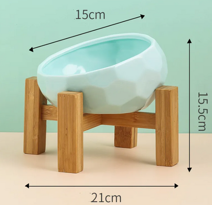 Ergonomic Tilted Ceramic Pet Bowl