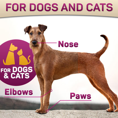 UAE Paw Guard — Hot Pavement Protection Balm