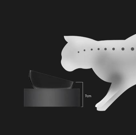 Elevated Pet Feeding Station