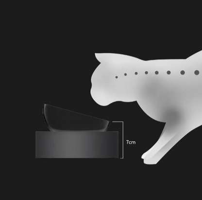 Elevated Pet Feeding Station