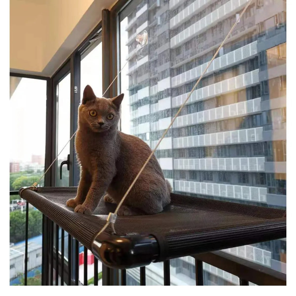 Cat Window Hammock — Suction Cup Perch for Indoor Cats