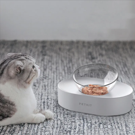 Elevated Pet Feeding Station