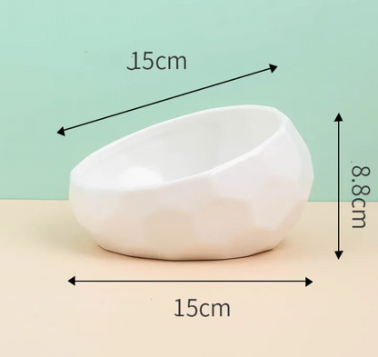 Ergonomic Tilted Ceramic Pet Bowl