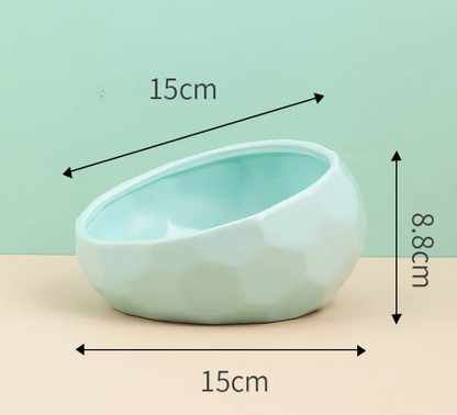 Ergonomic Tilted Ceramic Pet Bowl