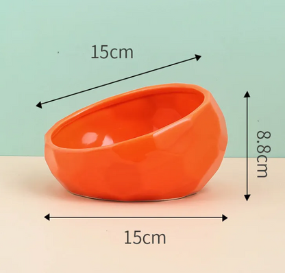 Ergonomic Tilted Ceramic Pet Bowl