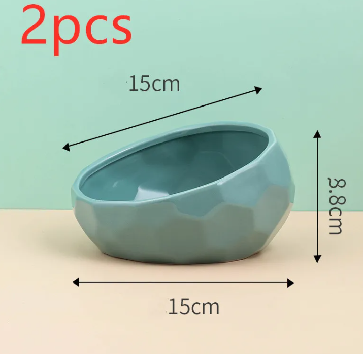 Ergonomic Tilted Ceramic Pet Bowl