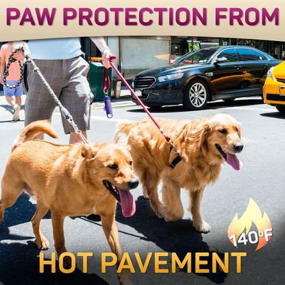 UAE Paw Guard — Hot Pavement Protection Balm