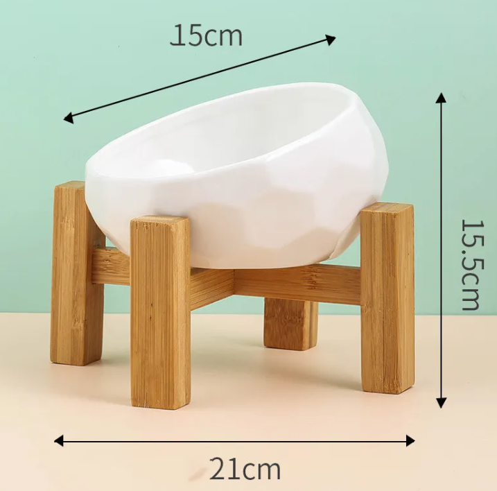 Ergonomic Tilted Ceramic Pet Bowl